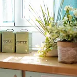 Domus Regina Elena Holiday home